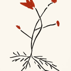 Red Flower 1, lithographie de Aki Kuroda. 2006
